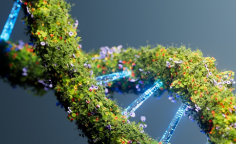 Sculpting Sensory Boundaries through Green Chemistry: Boweixin Bio Empowers Premium Fragrance and Pharmaceutical Intermediates