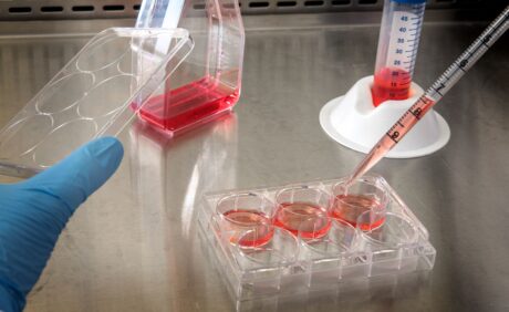 Quality Commitment: Boweixin Upgrades Analytical Center with Advanced NMN Polymorphic Testing